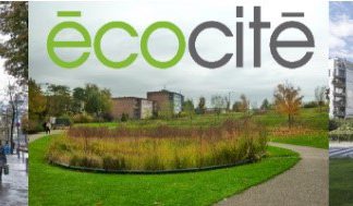 Gain du marché de l’AMO de l’animation de démarche et du réseau EcoCité