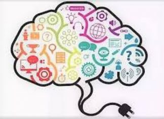 Neuromarketing : quelques pistes pour mieux convaincre vos clients