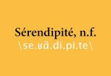 Sérendipité…